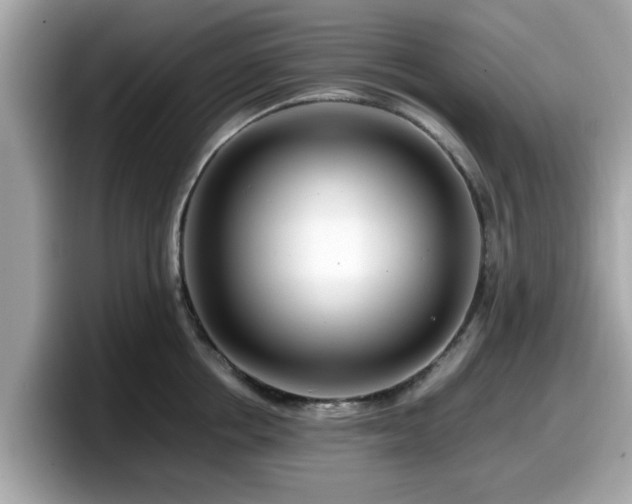 X0000098080858200804110941