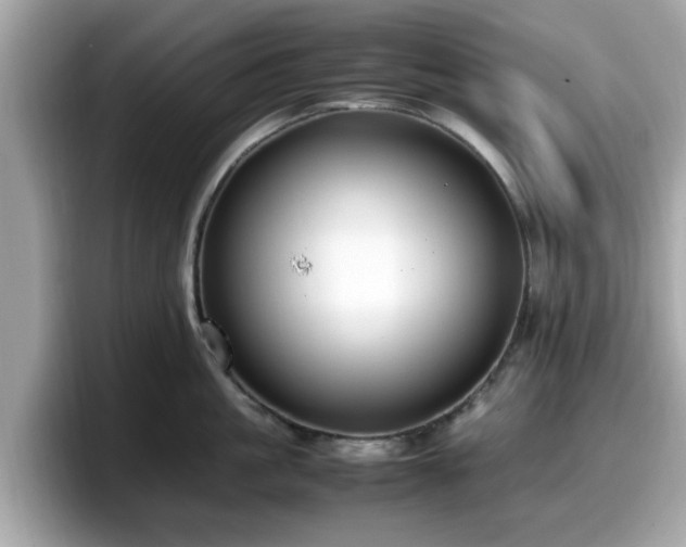 X0000098080861200804110941