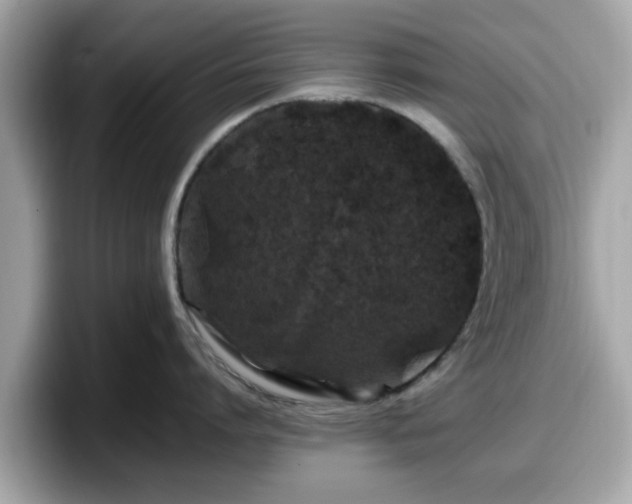 X0000098080864200804110941