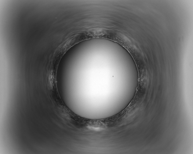 X0000098080866200804110940