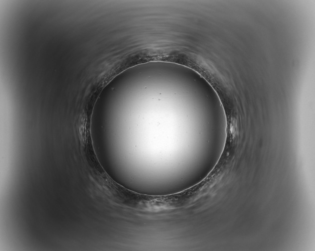 X0000098080867200804110940
