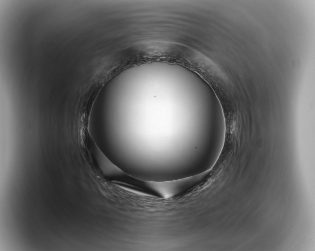 X0000098080868200804110940