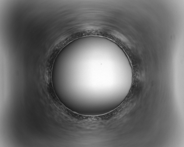 X0000098080869200804110940