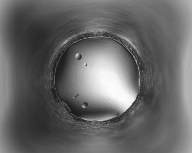 X0000098080871200804110940