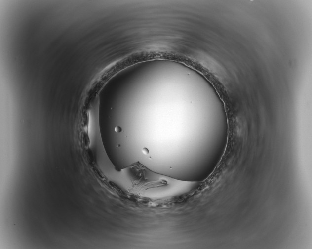 X0000098080872200804110940