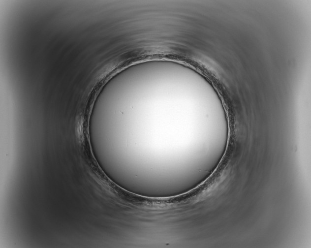 X0000098080873200804110940