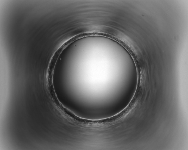 X0000098080876200804110940