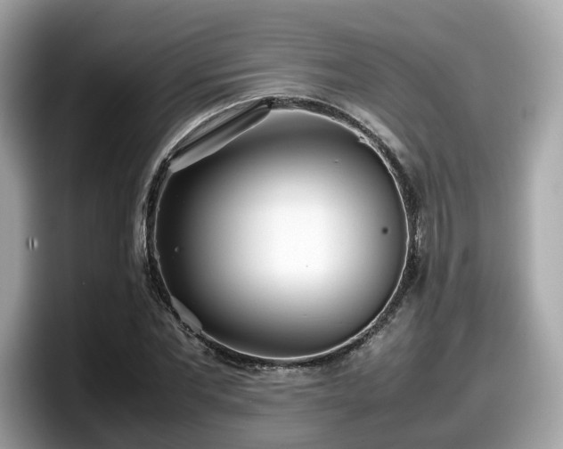 X0000098080877200804110940