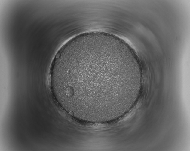 X0000098080879200804110940
