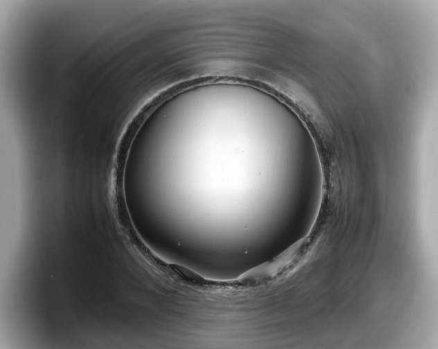 X0000098080880200804110940