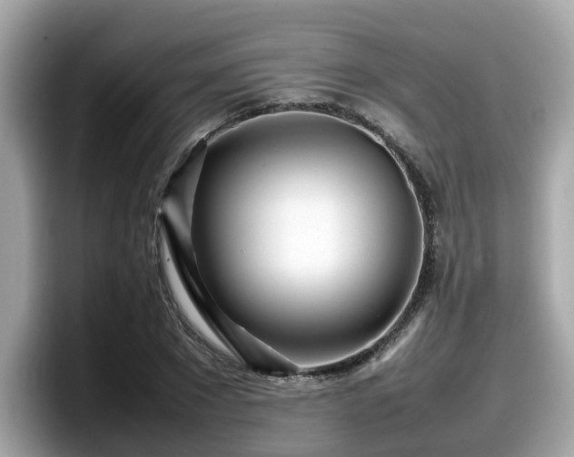 X0000098080881200804110940