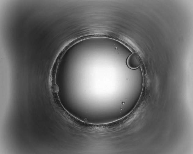 X0000098080883200804110940