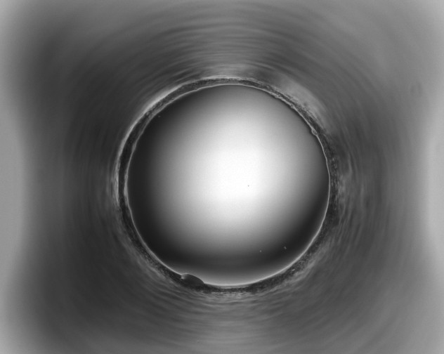X0000098080884200804110940