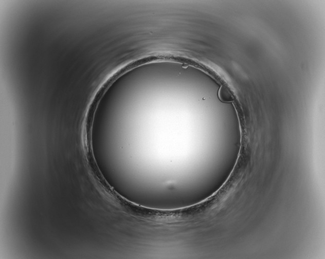 X0000098080887200804110940