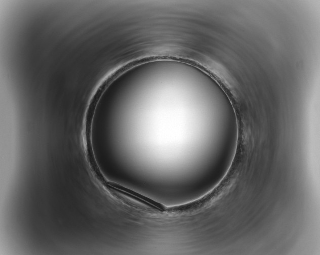 X0000098080888200804110940
