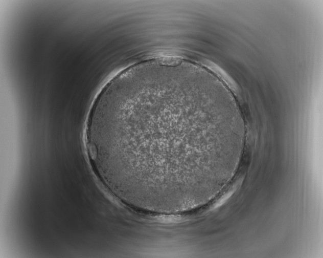 X0000098080893200804110940