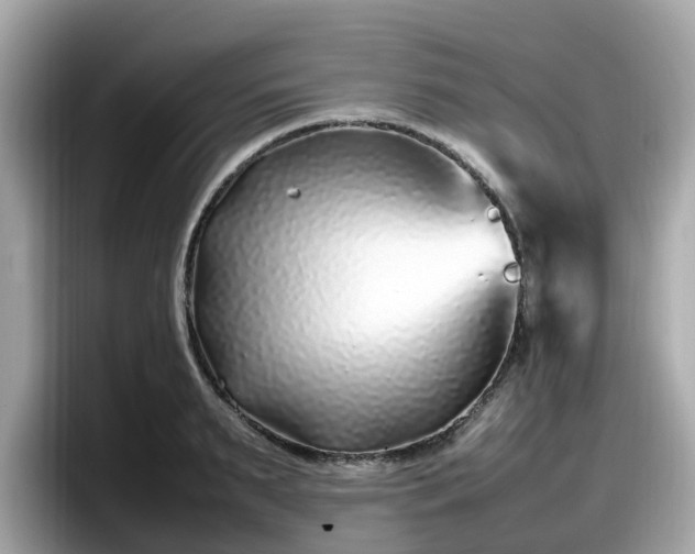 X0000098080895200804110940