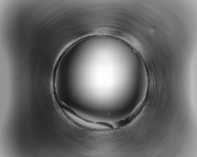 X0000098080896200804110940