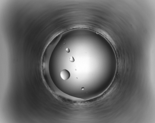 X0000098080898200804110940