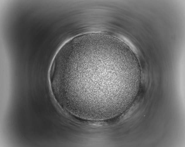 X0000098080899200804110940