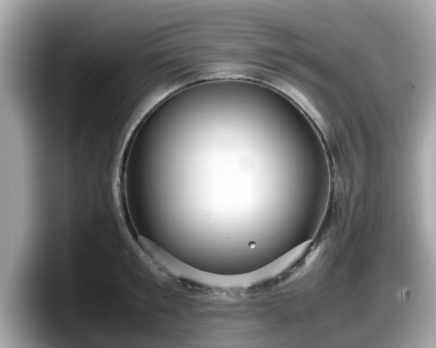 X0000098080901200804110940