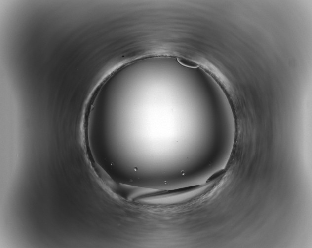 X0000098080902200804110940