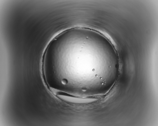 X0000098080903200804110940