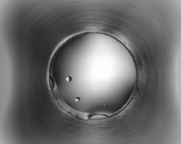 X0000098080904200804110940