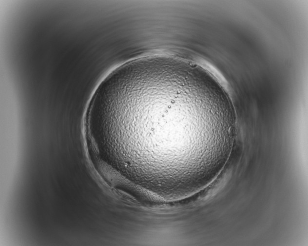 X0000098080907200804110940