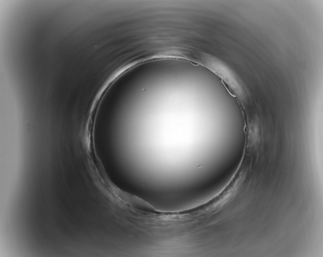 X0000098080908200804110940
