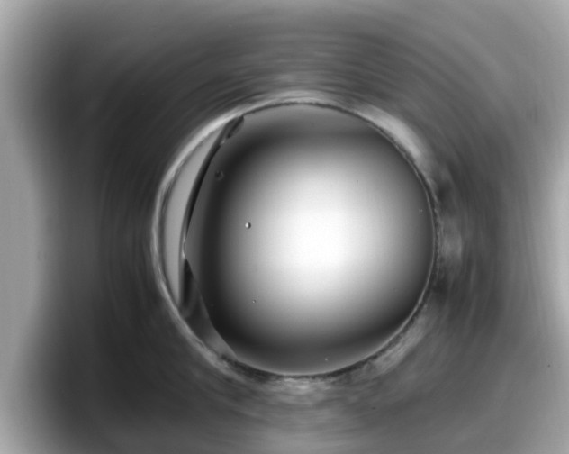 X0000098080910200804110940