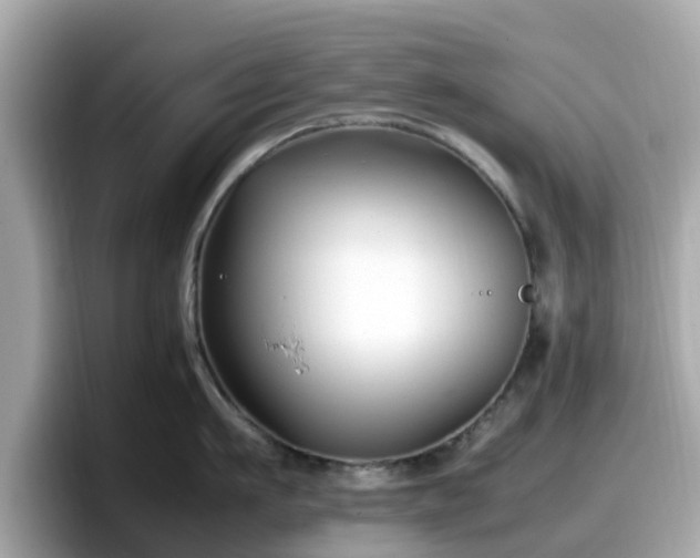 X0000098080911200804110940