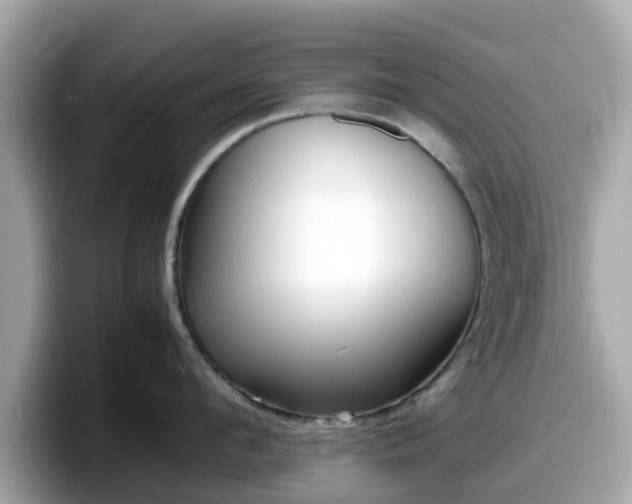 X0000098080912200804110940