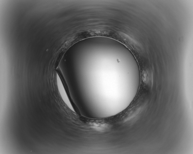 X0000098080915200804110939