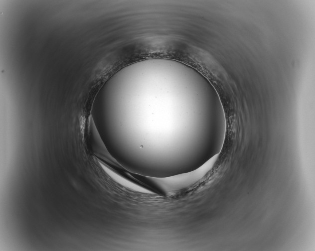 X0000098080916200804110939