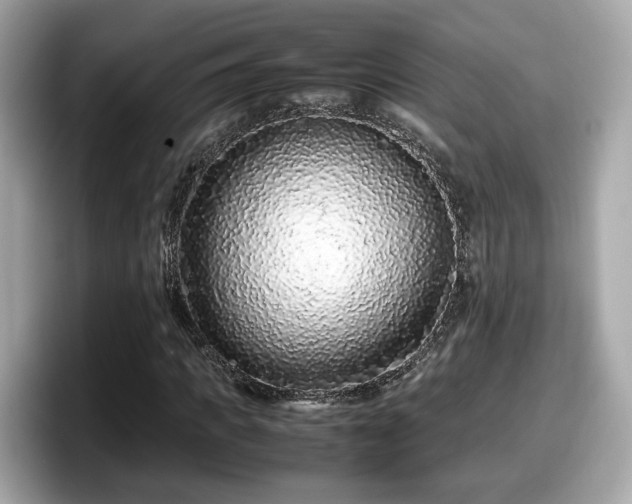 X0000098080917200804110939
