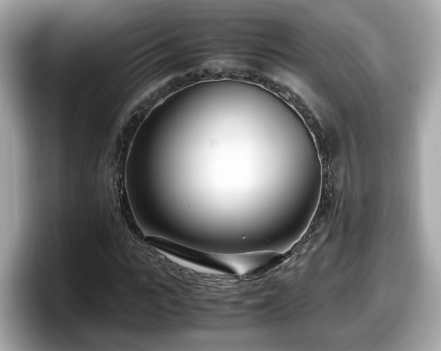 X0000098080919200804110939