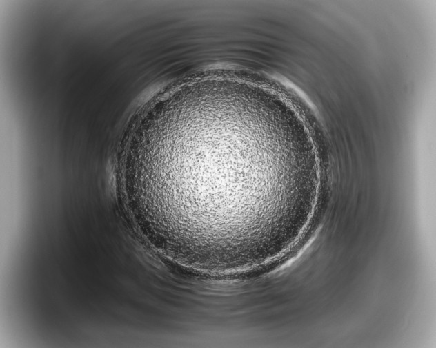 X0000098080921200804110939
