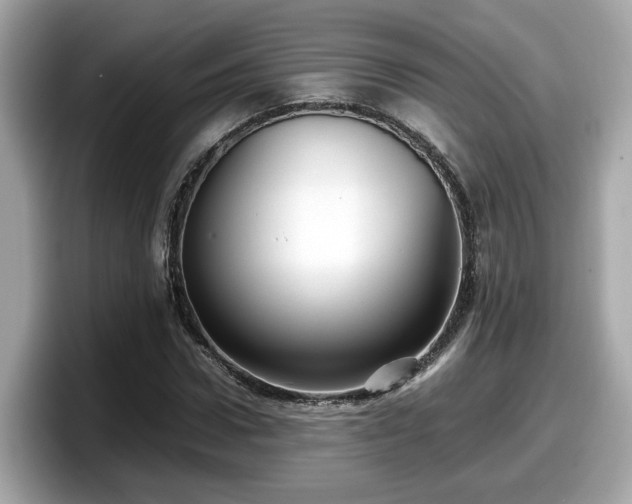 X0000098080922200804110939