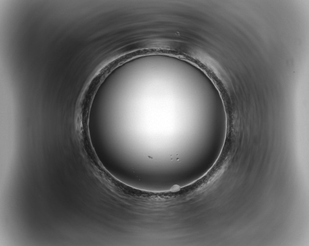 X0000098080923200804110939