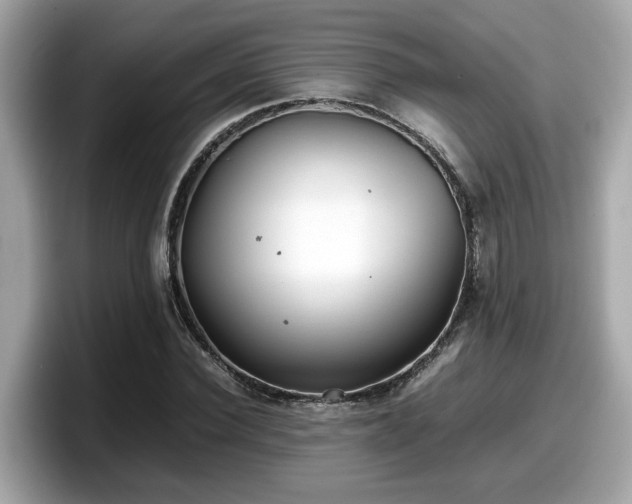 X0000098080924200804110939