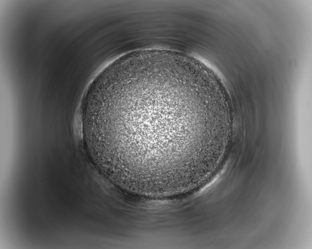 X0000098080925200804110939