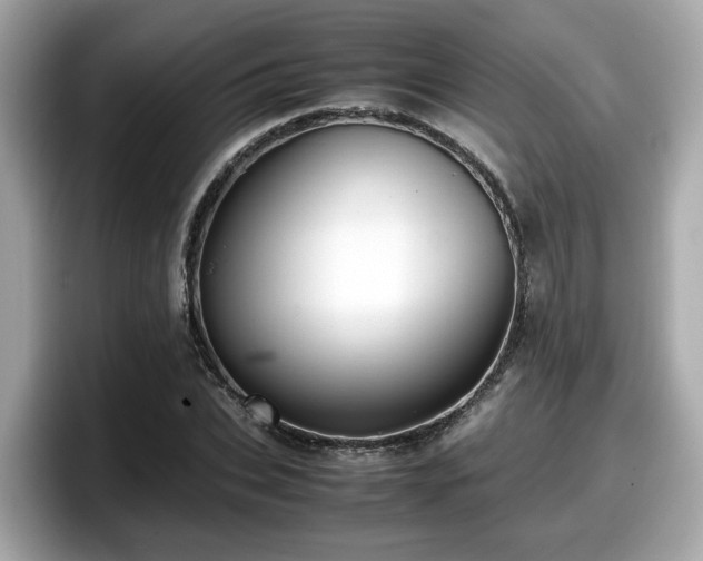 X0000098080927200804110939