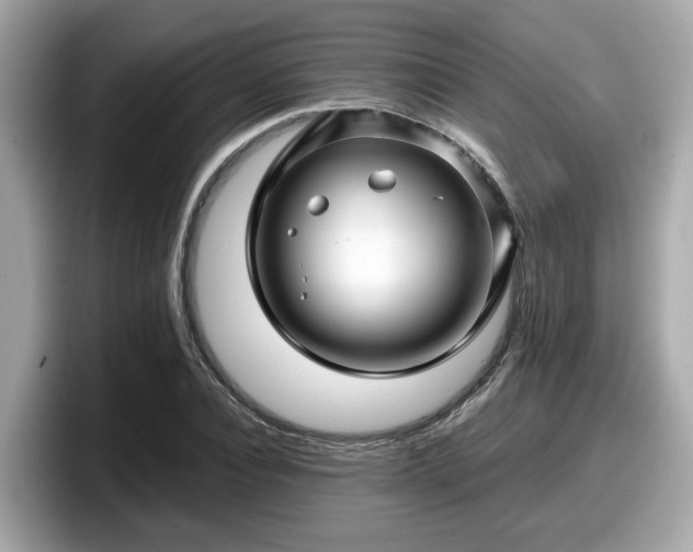 X0000098080928200804110939
