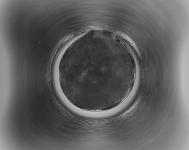 X0000098080930200804110939