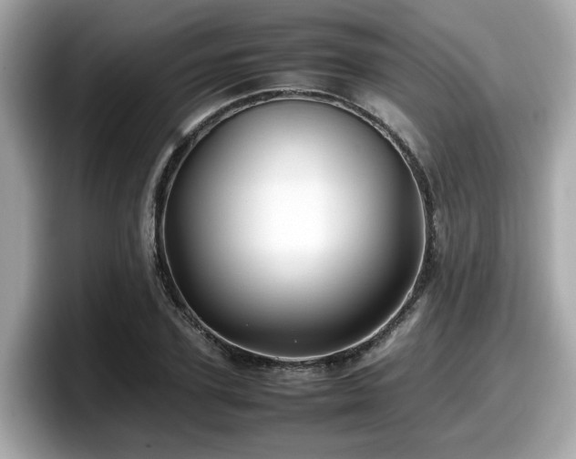 X0000098080931200804110939