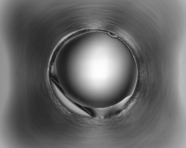 X0000098080932200804110940