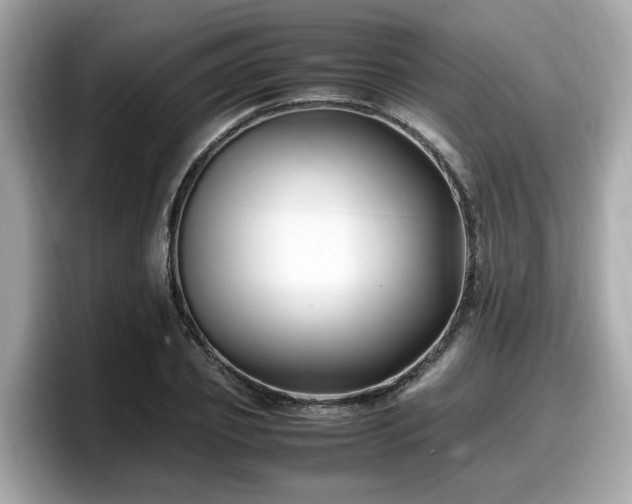 X0000098080933200804110940