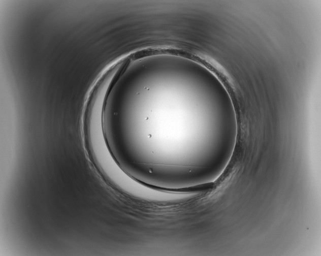 X0000098080935200804110940