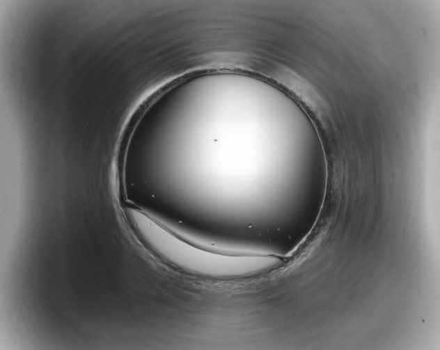 X0000098080936200804110940